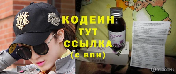 хмурый Касимов