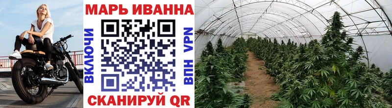 где найти наркотики  Питкяранта  Канабис Amnesia 